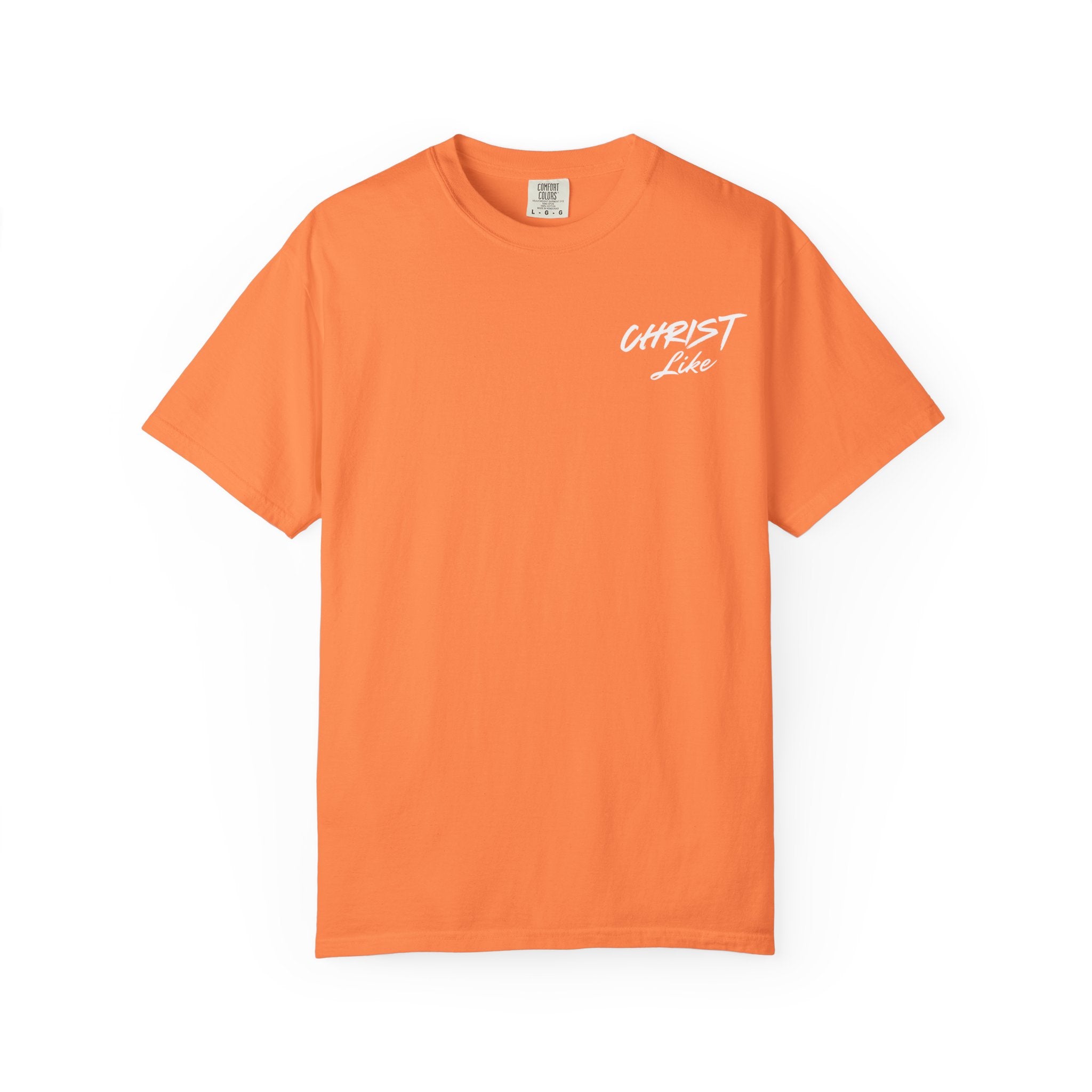Jesus and the Beach - Comfort Color T-shirt