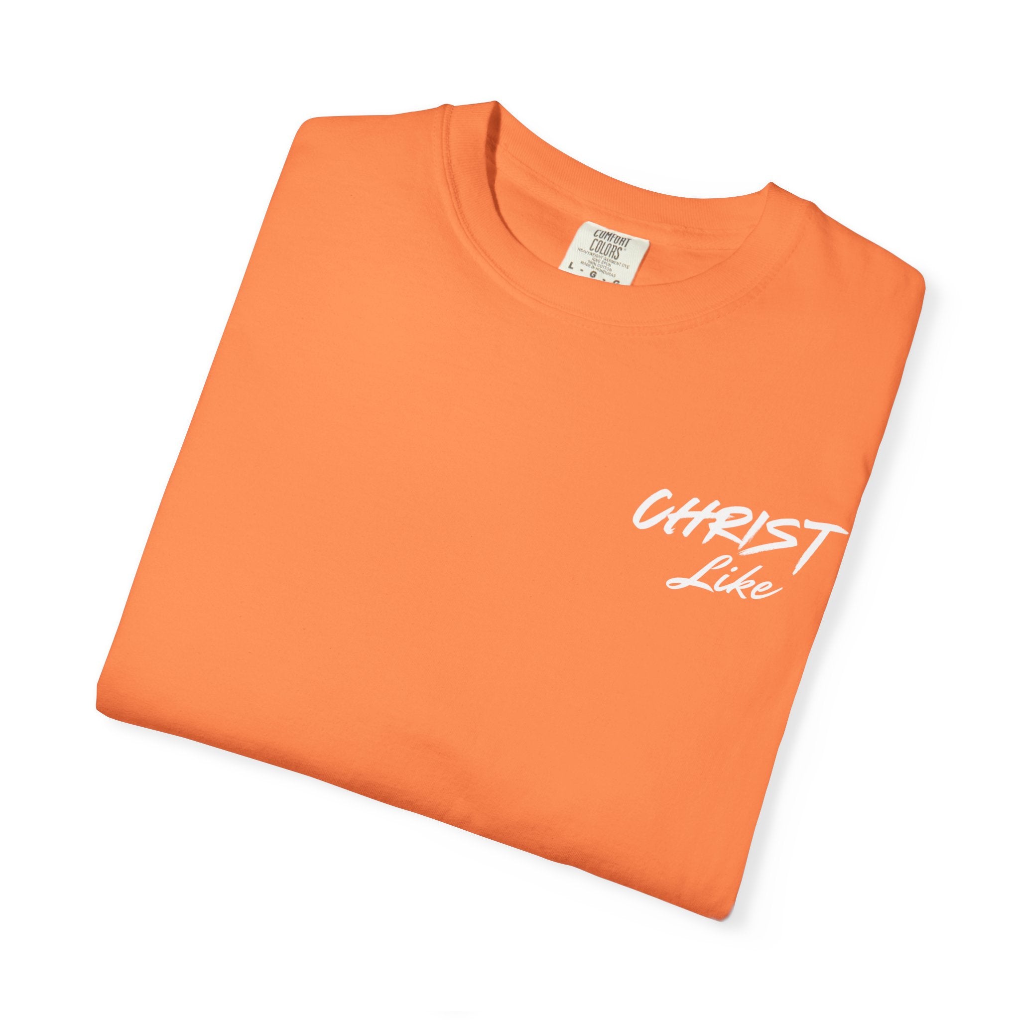 Jesus and the Beach - Comfort Color T-shirt